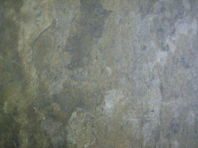 Vijay Gold Slate