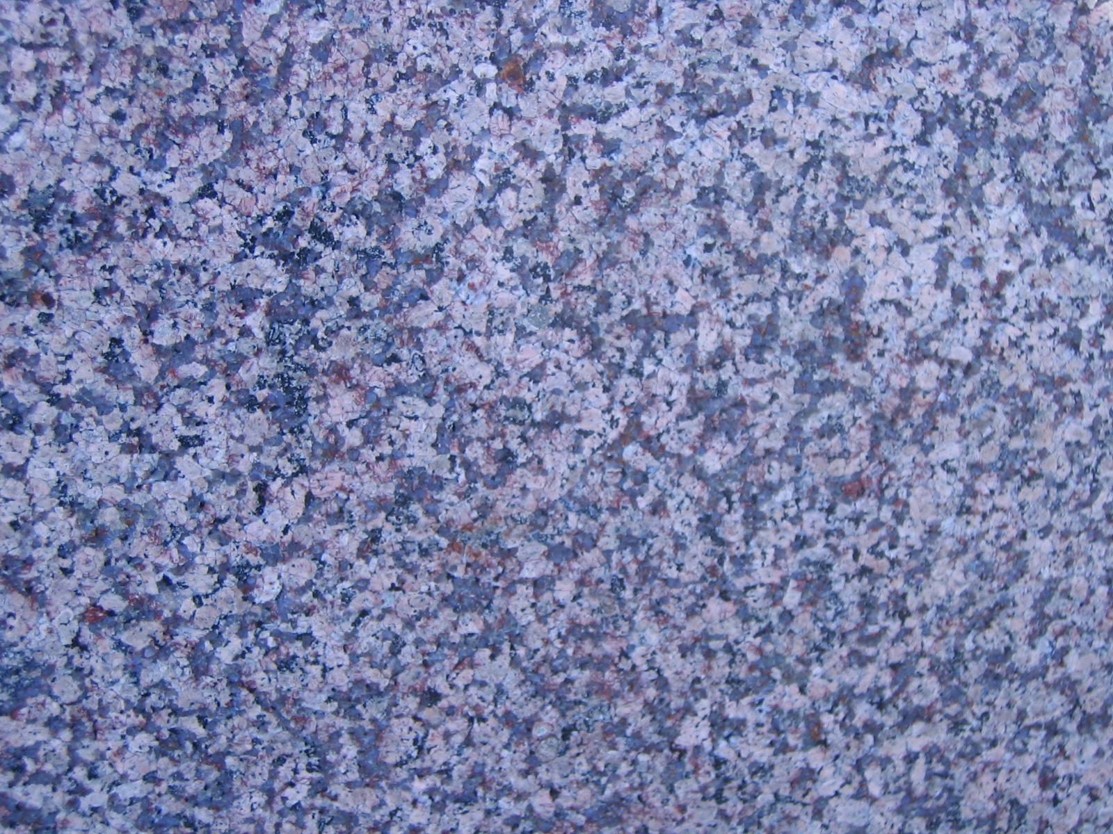 Violetta