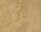 Ivory Antico