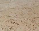 Red Whorl Cream
