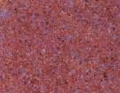 Richearth Red