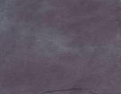Unfading Purple