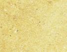 Giallo Tabae New Gold