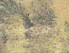 Fossel Sandstone