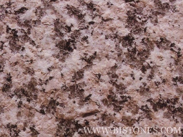 G3758 Tiles G3758 Tiles