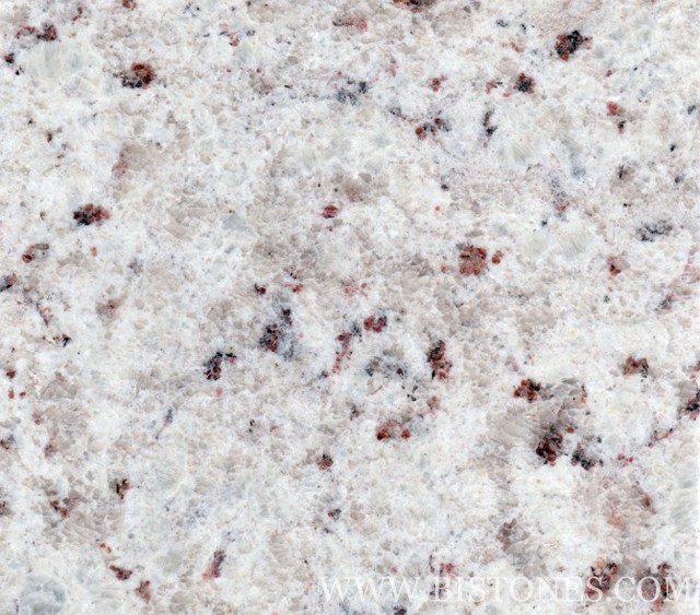 Rose White Tiles Rose White Tiles