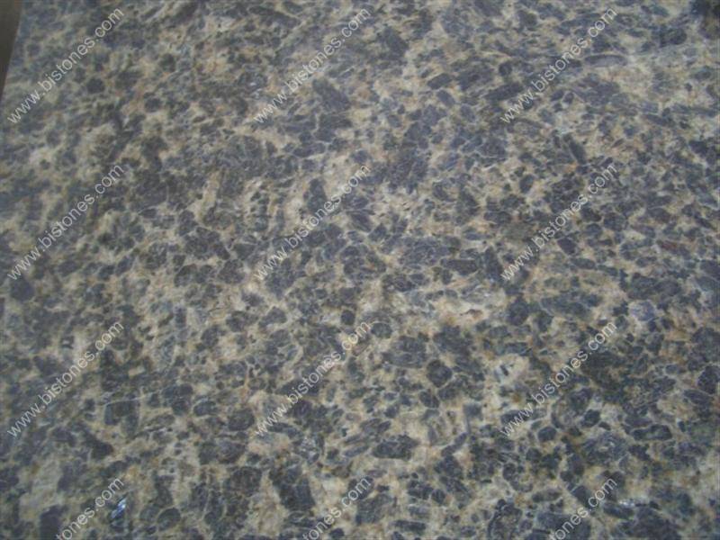 Leopard Skin Flower Tiles Leopard Skin Flower Tiles